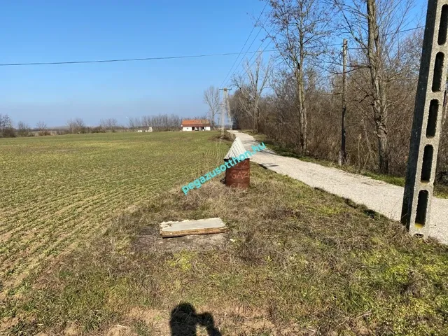 Eladó telek Tiszaszentimre 5726 nm