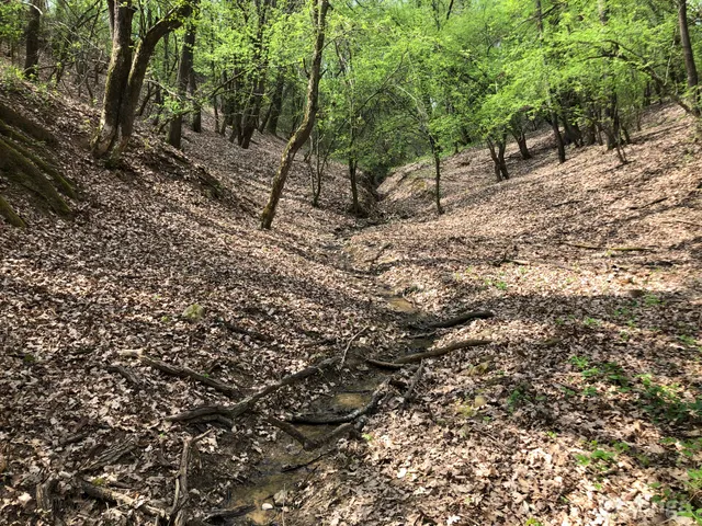 Eladó mezőgazdasági ingatlan Parád 25000 nm