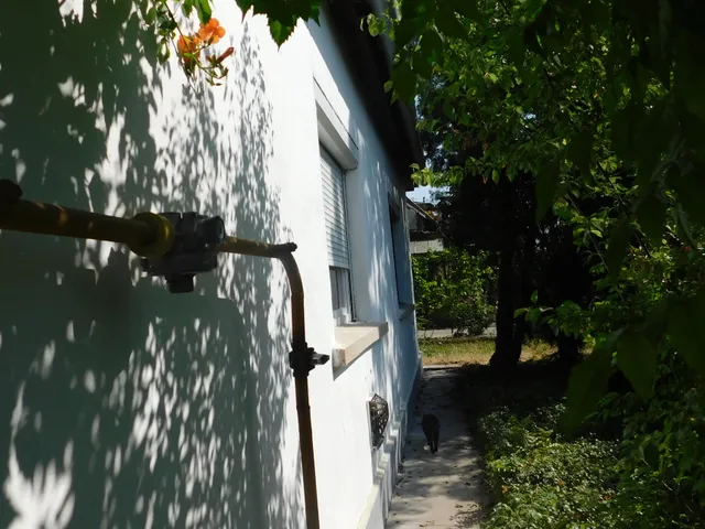 Eladó ház Szeged, Béketelep 65 nm