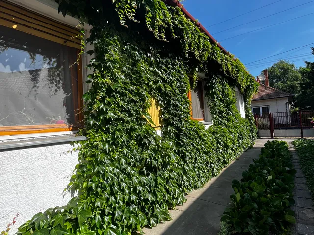 Eladó ház Albertirsa 110 nm