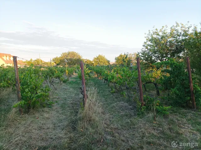 Eladó üdülő és hétvégi ház Öskü 56 nm