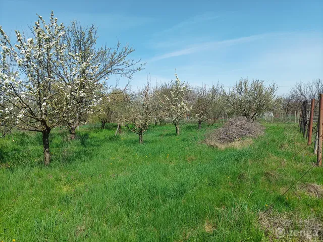 Eladó mezőgazdasági ingatlan Öskü 55 nm