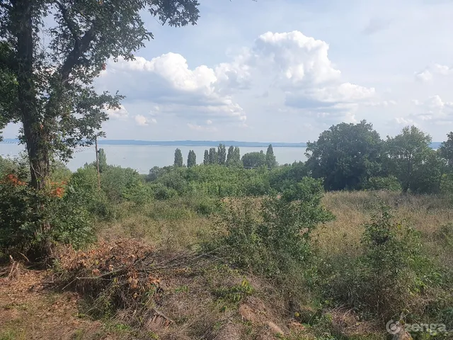 Eladó telek Balatonszepezd 2635 nm