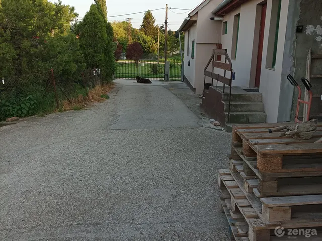 Eladó ház Pázmánd 180 nm