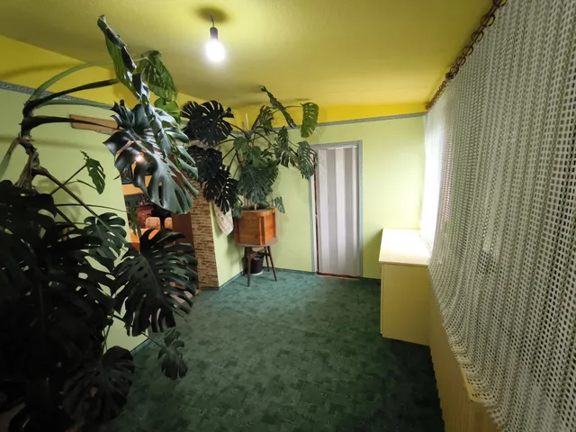 Eladó ház Napkor 230 nm