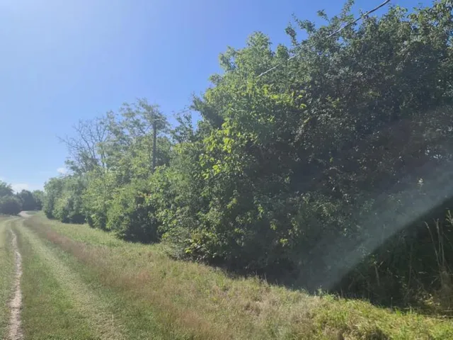 Eladó telek Győr, Révfalu 1472 nm
