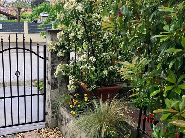 Eladó ház Komárom 156 nm