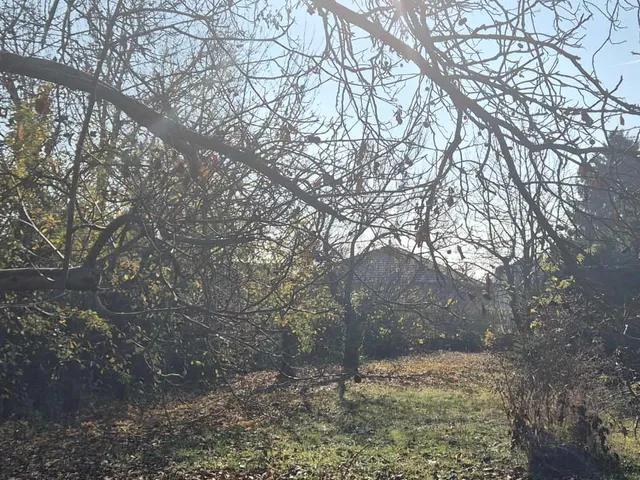 Eladó telek Szolnok, Alcsisziget 550 nm