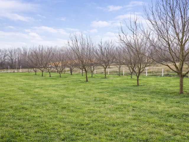 Eladó mezőgazdasági ingatlan Jászberény 80 nm