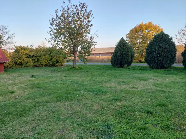 Eladó mezőgazdasági ingatlan Újszász 150 nm