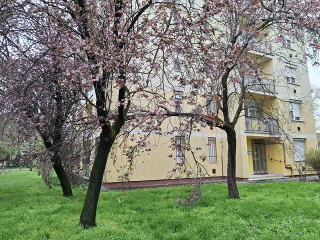 Eladó lakás Szolnok, Belváros 49 nm