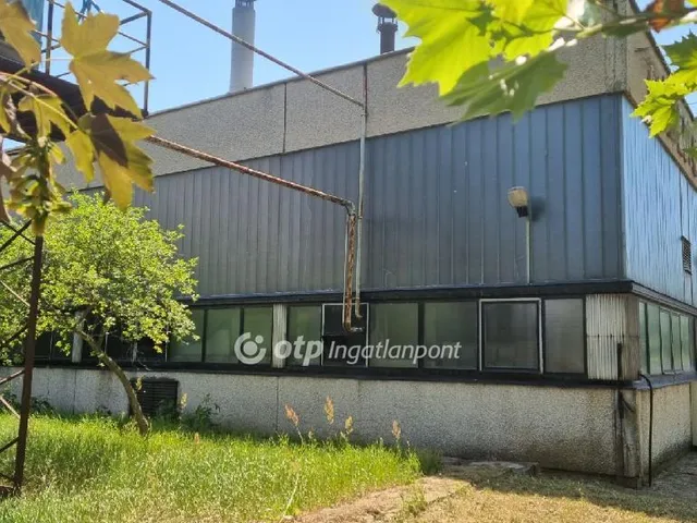 Kiadó kereskedelmi és ipari ingatlan Berettyóújfalu 1650 nm
