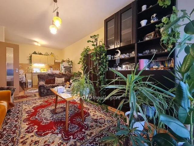 Eladó lakás Balmazújváros 43 nm