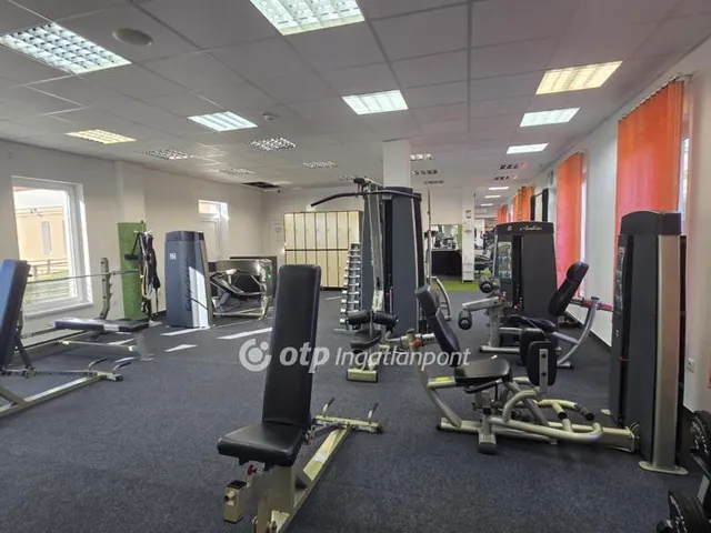 Kiadó kereskedelmi és ipari ingatlan Nádudvar 480 nm