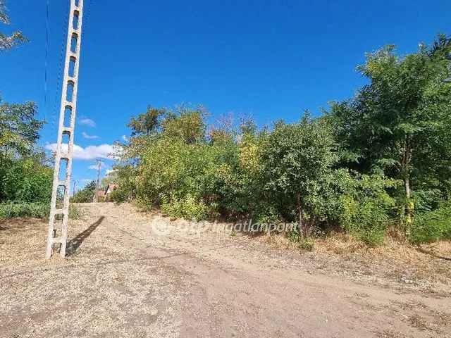 Eladó telek Tiszaderzs 1090 nm