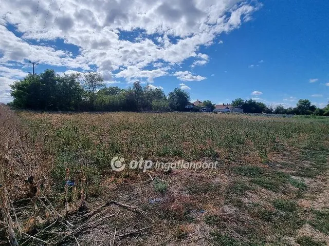Eladó telek Tiszaderzs 2787 nm