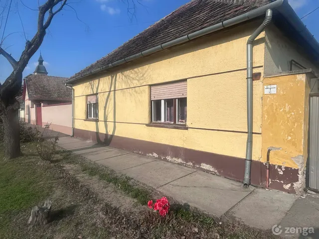 Eladó ház Borota, Szent István utca 28 200 nm