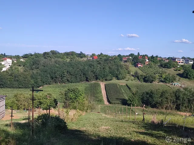 Eladó telek Zalaegerszeg, Szenterzsébethegy 2055 nm