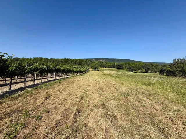 Eladó telek Mór 956 nm