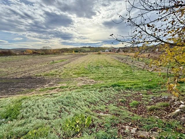 Eladó telek Bakonycsernye 1971 nm