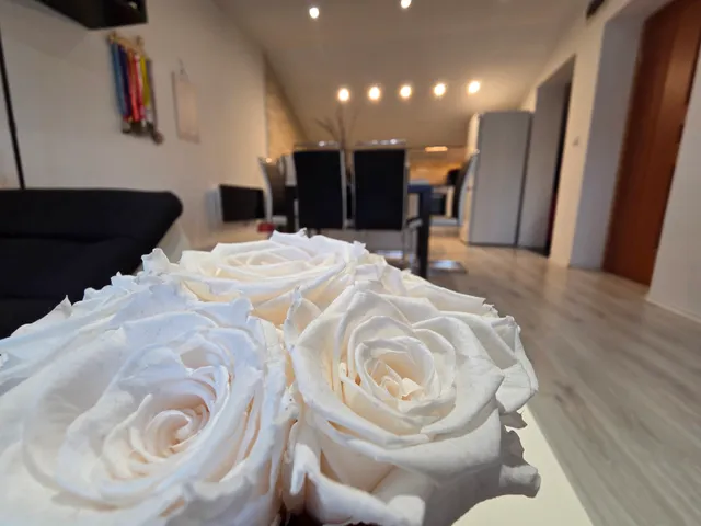 Eladó lakás Székesfehérvár, Öreghegy 55 nm