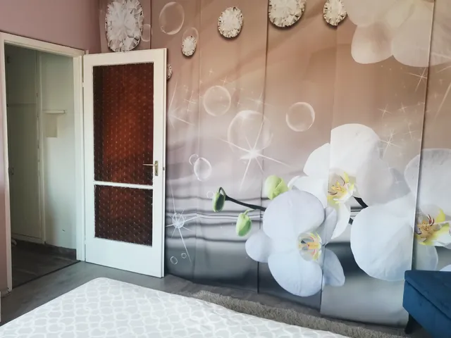 Eladó lakás Székesfehérvár, Szedreskert 53 nm