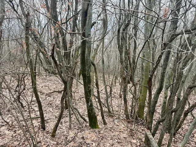 Eladó telek Csókakő 23592 nm