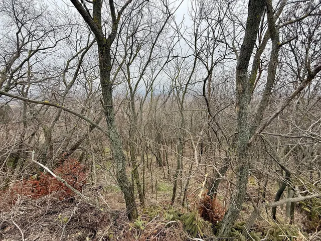 Eladó telek Csókakő 23592 nm