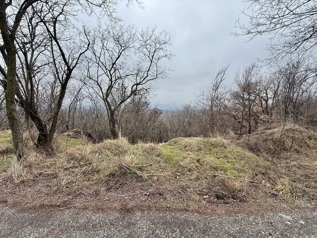 Eladó telek Csókakő 23592 nm