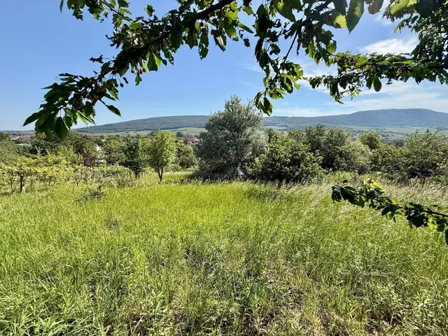 Eladó telek Mór 1867 nm