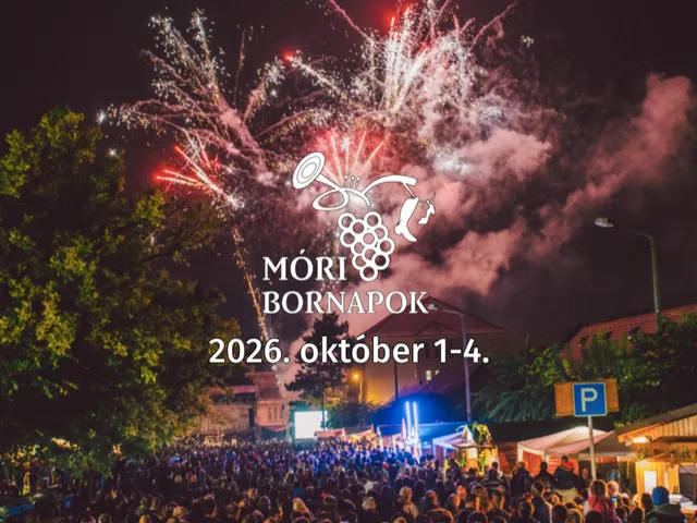 Kiadó ház Mór 50 nm