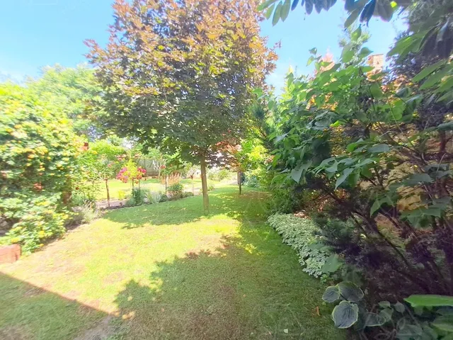 Eladó lakás Nyíregyháza 128 nm