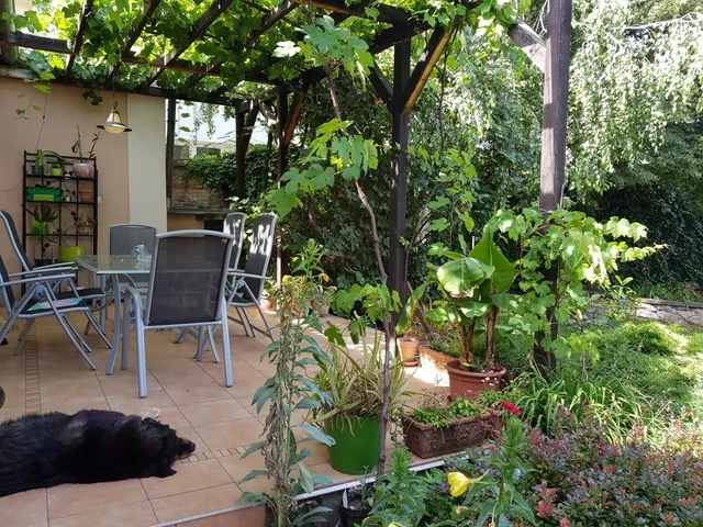 Eladó ház Nyíregyháza 162 nm