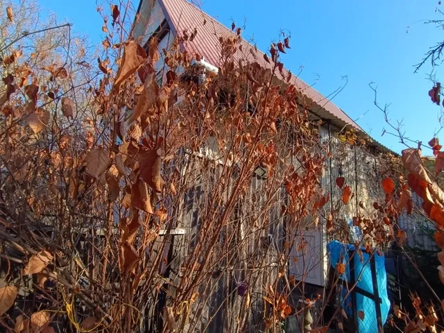 Eladó ház Nyíregyháza 30 nm