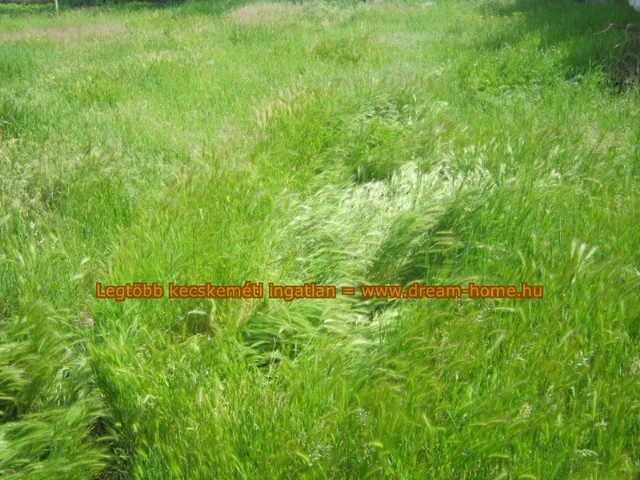 Eladó telek Kecskemét 3765 nm