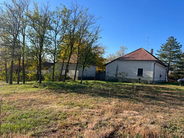 Eladó ház Baks 118 nm