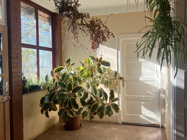 Eladó ház Baks 118 nm