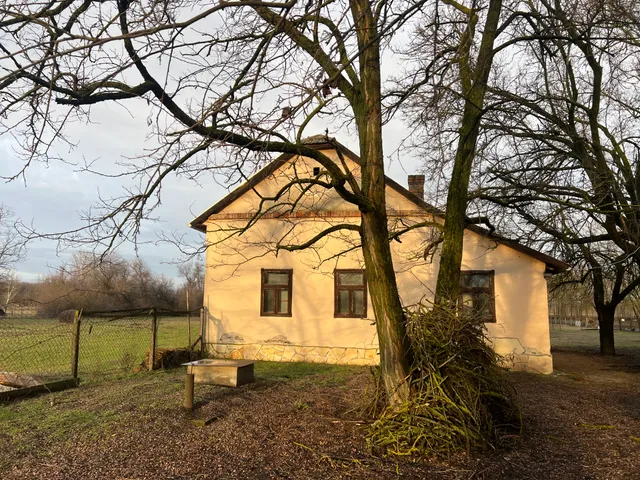 Eladó mezőgazdasági ingatlan Szatymaz 80 nm