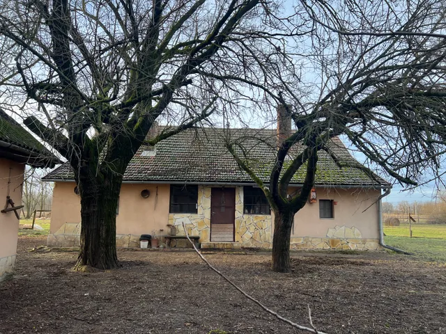 Eladó mezőgazdasági ingatlan Szatymaz 80 nm