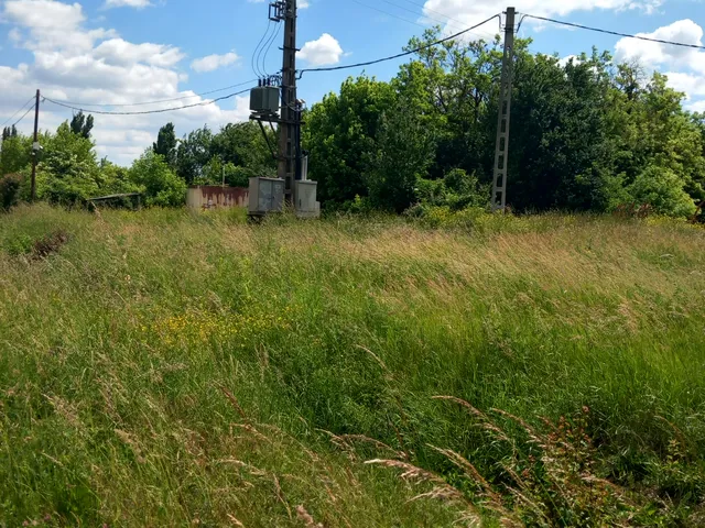 Eladó mezőgazdasági ingatlan Iregszemcse, Napraforgó utca 7278 nm