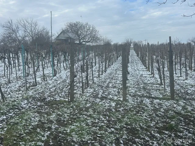 Eladó mezőgazdasági ingatlan Lepsény 24 nm