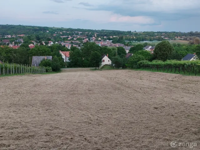 Eladó telek Szederkény 2834 nm