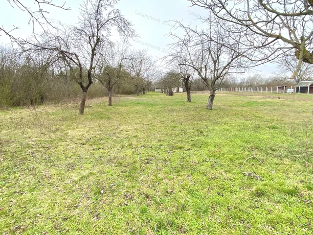 Eladó mezőgazdasági ingatlan Gyomaendrőd 14 nm