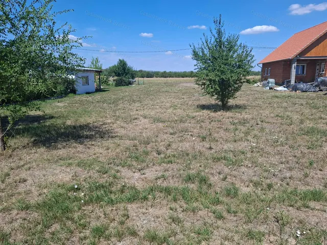 Eladó telek Békésszentandrás 800 nm