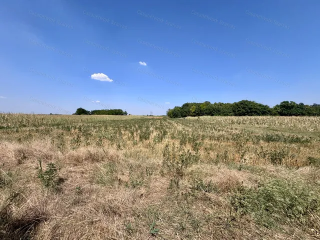 Eladó mezőgazdasági ingatlan Kardos 16610 nm