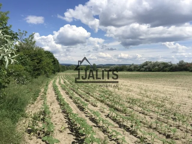 Eladó telek Bicske 89989 nm