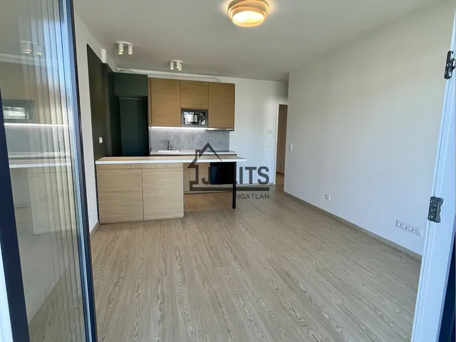Kiadó lakás Budapest XIII. kerület 39 nm