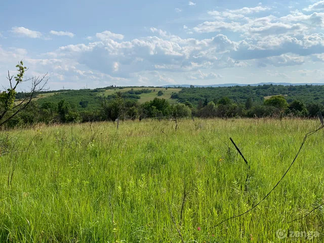 Eladó mezőgazdasági ingatlan Miskolc 2658 nm