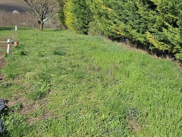 Eladó telek Páty 1633 nm