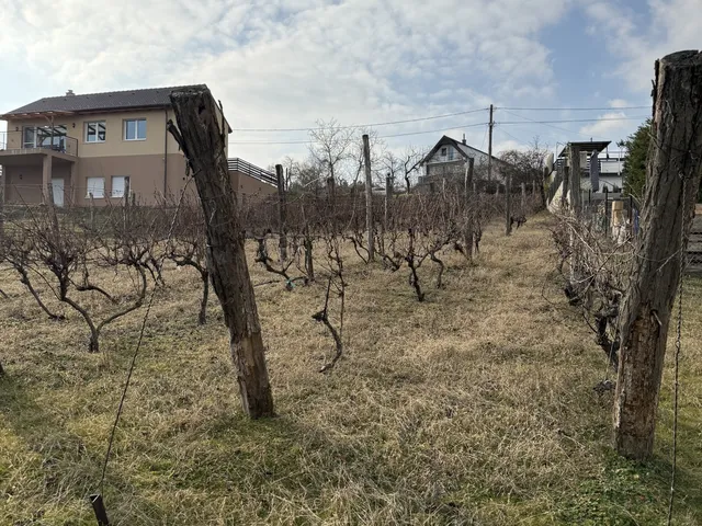 Eladó telek Pákozd 1100 nm